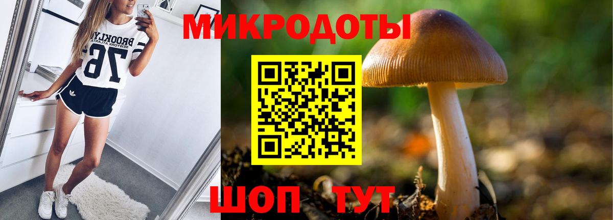 Псилоцибиновые грибы прущие грибы Карпинск